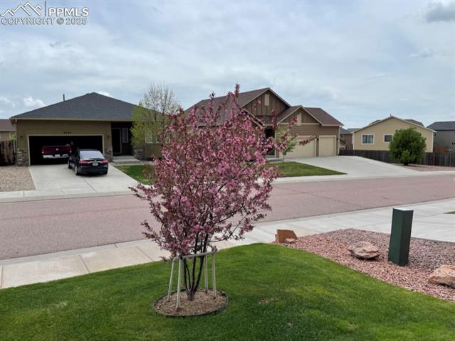 MLS Image for 2254  Green Grass  ,Colorado Springs, Colorado