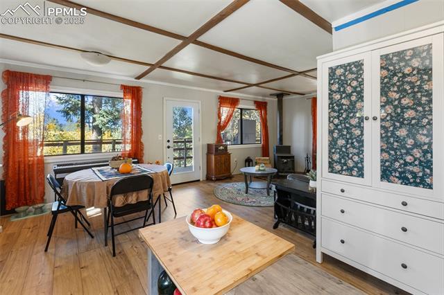 MLS Image for 679  Calcite  ,Divide, Colorado