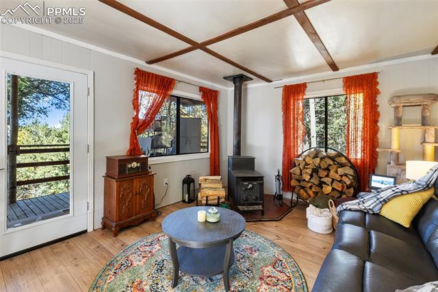 MLS Image for 679  Calcite  ,Divide, Colorado
