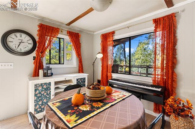 MLS Image for 679  Calcite  ,Divide, Colorado