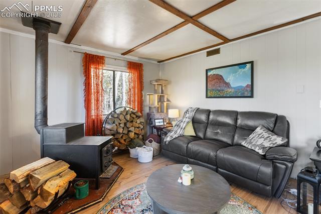 MLS Image for 679  Calcite  ,Divide, Colorado