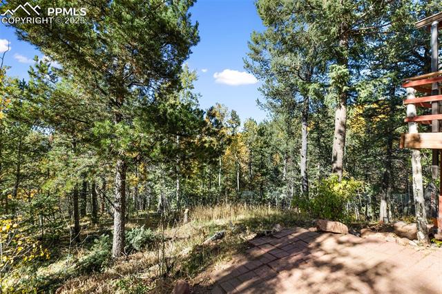 MLS Image for 679  Calcite  ,Divide, Colorado
