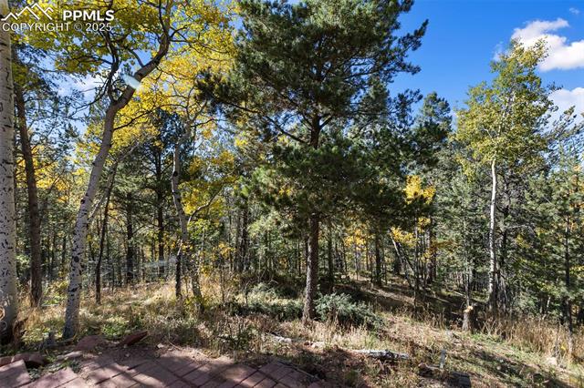 MLS Image for 679  Calcite  ,Divide, Colorado