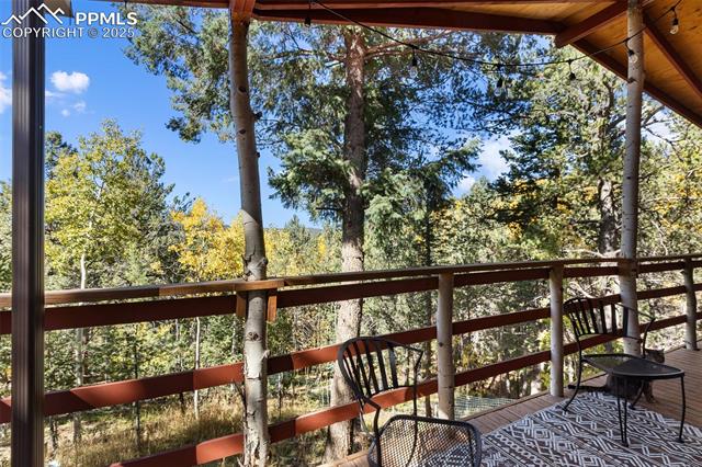 MLS Image for 679  Calcite  ,Divide, Colorado