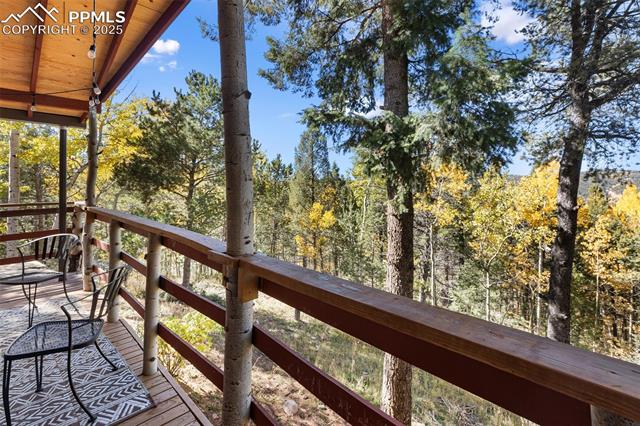 MLS Image for 679  Calcite  ,Divide, Colorado