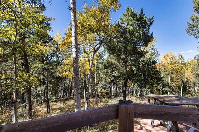 MLS Image for 679  Calcite  ,Divide, Colorado