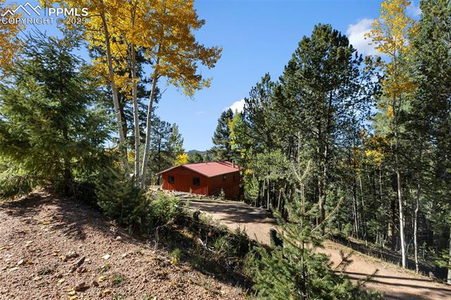 MLS Image for 679  Calcite  ,Divide, Colorado
