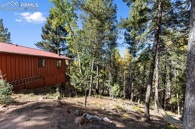 MLS Image for 679  Calcite  ,Divide, Colorado