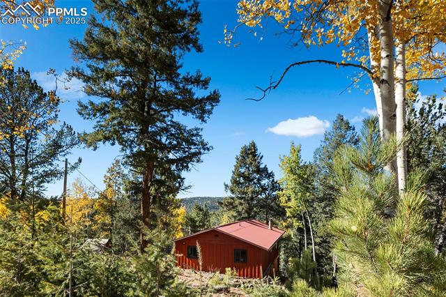 MLS Image for 679  Calcite  ,Divide, Colorado