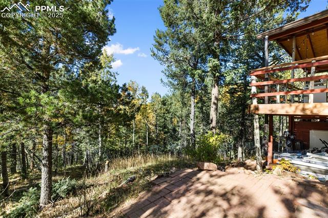 MLS Image for 679  Calcite  ,Divide, Colorado