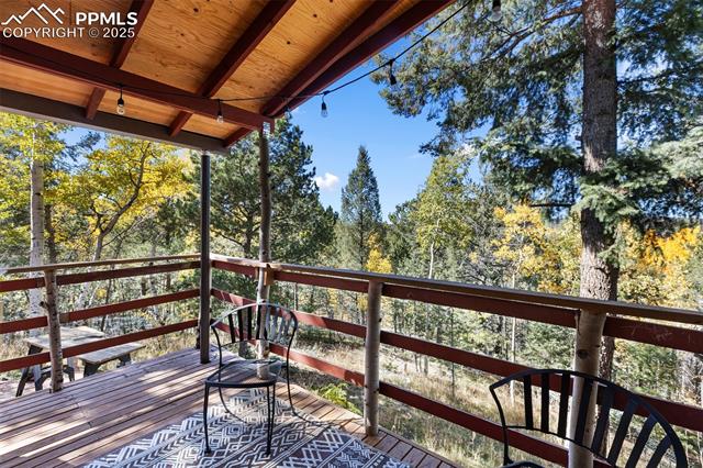 MLS Image for 679  Calcite  ,Divide, Colorado