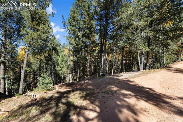 MLS Image for 679  Calcite  ,Divide, Colorado