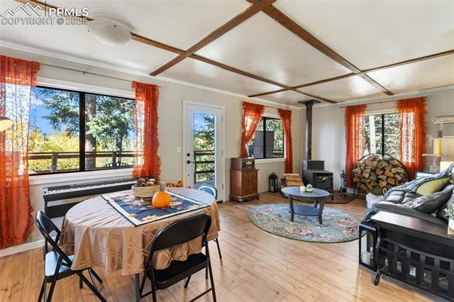 MLS Image for 679  Calcite  ,Divide, Colorado