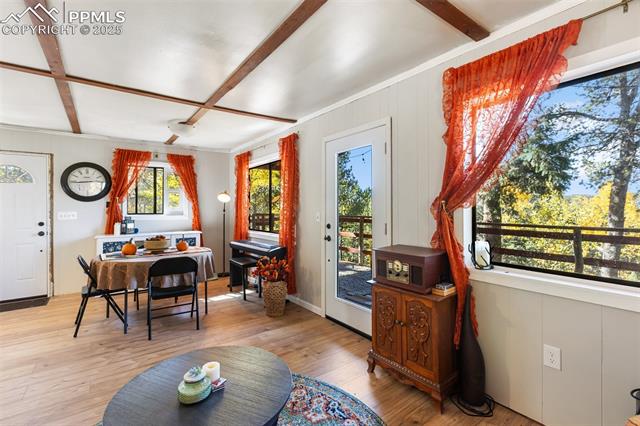 MLS Image for 679  Calcite  ,Divide, Colorado