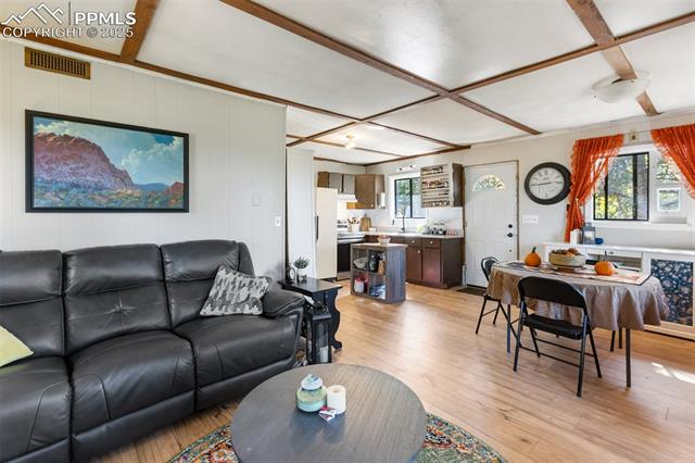 MLS Image for 679  Calcite  ,Divide, Colorado