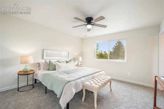 MLS Image for 2510  Black Diamond  ,Colorado Springs, Colorado