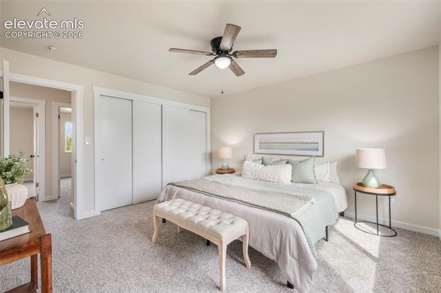 MLS Image for 2510  Black Diamond  ,Colorado Springs, Colorado