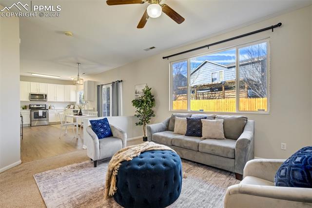 MLS Image for 4364  Bronco Gulch  ,Colorado Springs, Colorado
