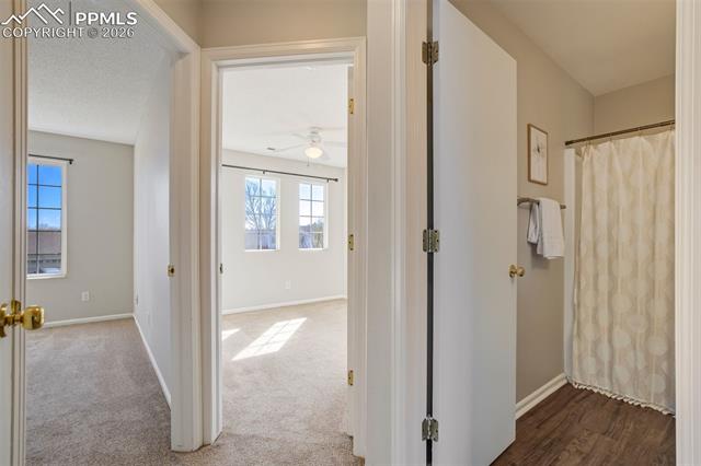 MLS Image for 4364  Bronco Gulch  ,Colorado Springs, Colorado