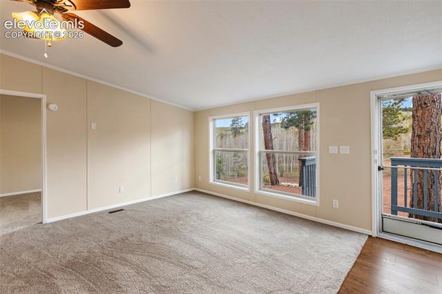 MLS Image for 100  Wolverine  ,Florissant, Colorado