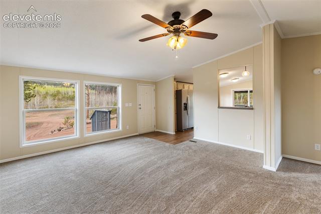 MLS Image for 100  Wolverine  ,Florissant, Colorado