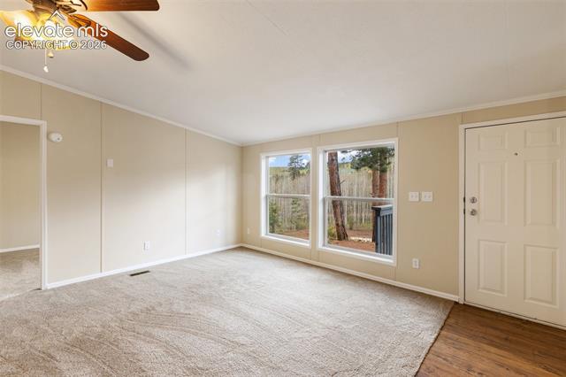 MLS Image for 100  Wolverine  ,Florissant, Colorado