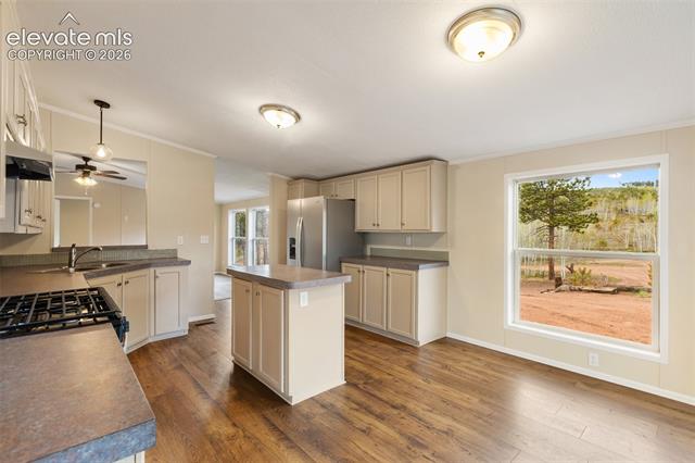 MLS Image for 100  Wolverine  ,Florissant, Colorado