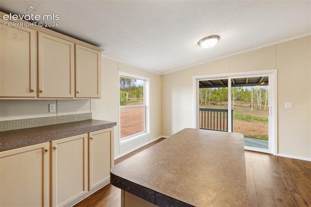 MLS Image for 100  Wolverine  ,Florissant, Colorado