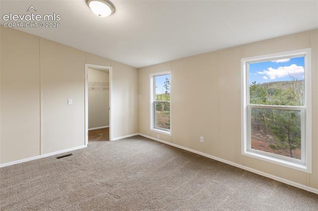 MLS Image for 100  Wolverine  ,Florissant, Colorado