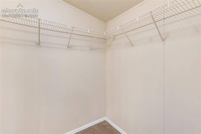 MLS Image for 100  Wolverine  ,Florissant, Colorado