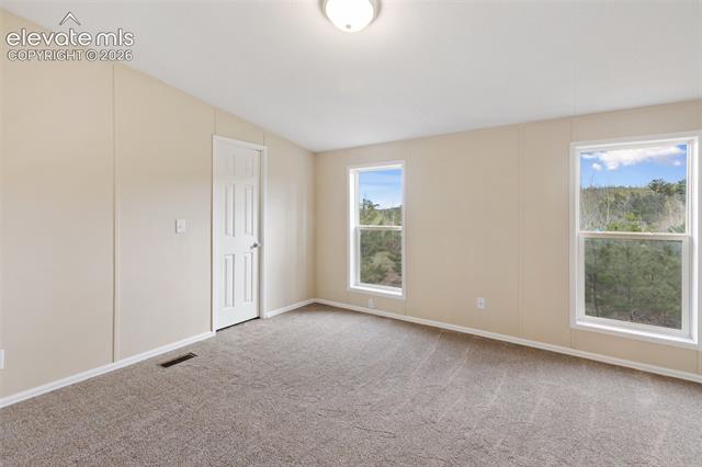 MLS Image for 100  Wolverine  ,Florissant, Colorado