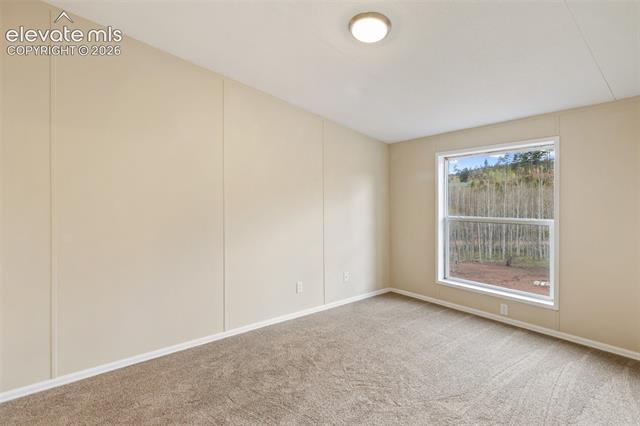 MLS Image for 100  Wolverine  ,Florissant, Colorado