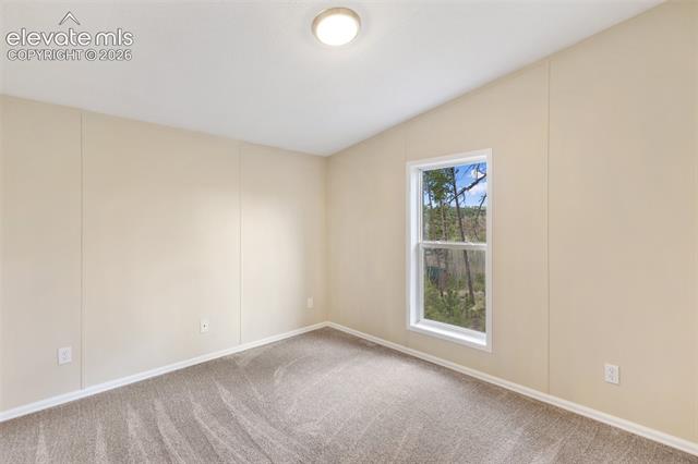 MLS Image for 100  Wolverine  ,Florissant, Colorado
