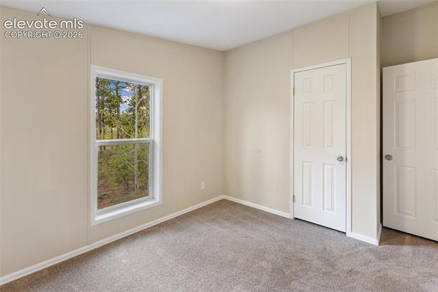 MLS Image for 100  Wolverine  ,Florissant, Colorado