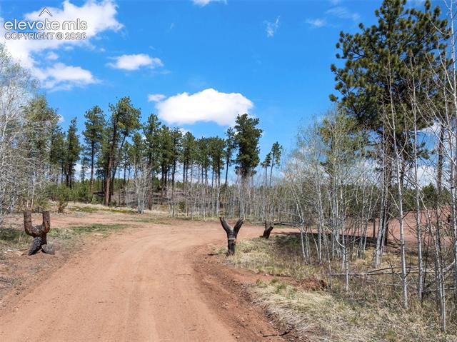 MLS Image for 100  Wolverine  ,Florissant, Colorado
