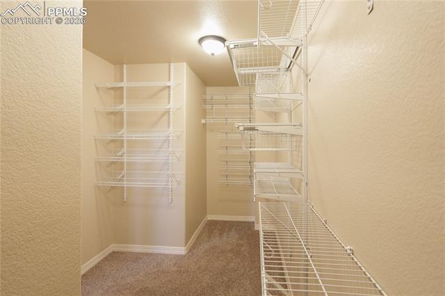 MLS Image for 8704  Meadow Tree  ,Colorado Springs, Colorado