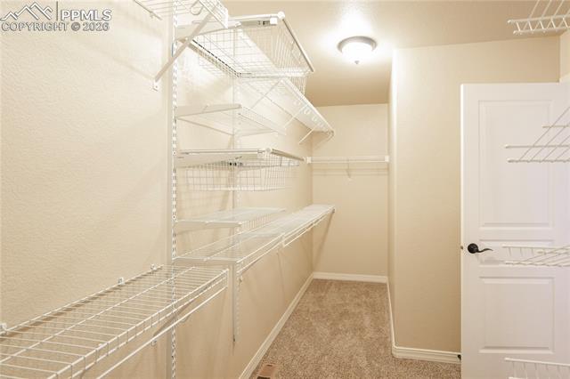 MLS Image for 8704  Meadow Tree  ,Colorado Springs, Colorado