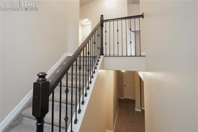 MLS Image for 8704  Meadow Tree  ,Colorado Springs, Colorado