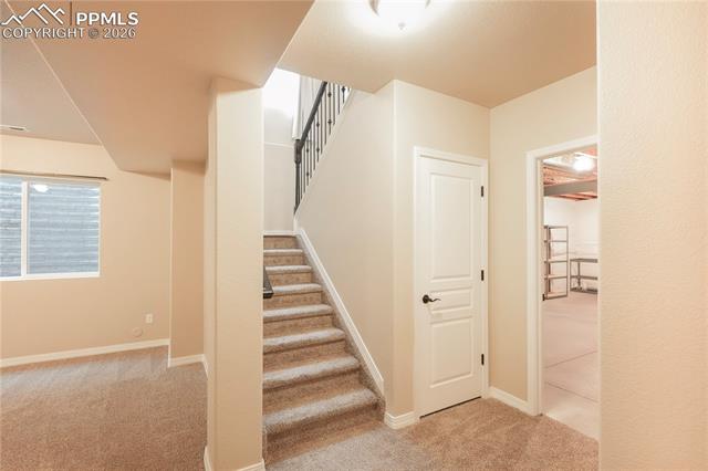 MLS Image for 8704  Meadow Tree  ,Colorado Springs, Colorado