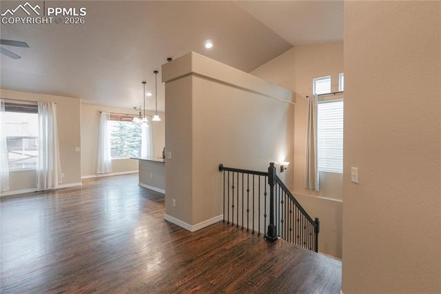 MLS Image for 8704  Meadow Tree  ,Colorado Springs, Colorado