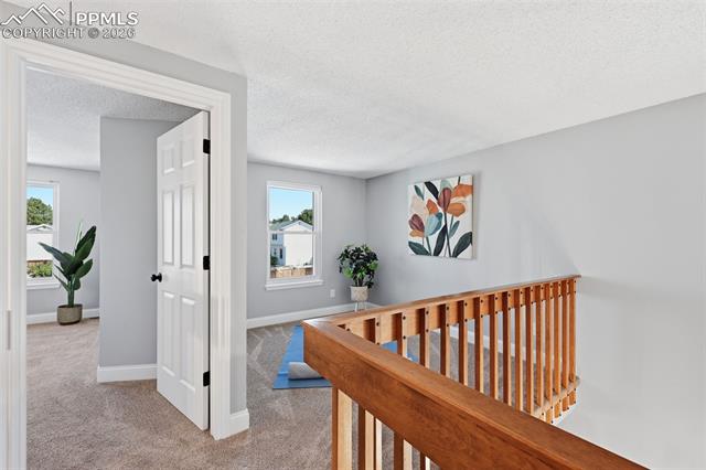 MLS Image for 8235  Avens  ,Colorado Springs, Colorado