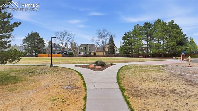 MLS Image for 8235  Avens  ,Colorado Springs, Colorado