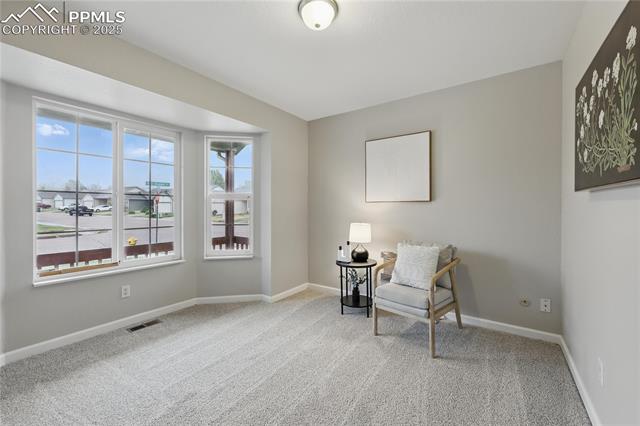 MLS Image for 908  Red Brooke  ,Colorado Springs, Colorado