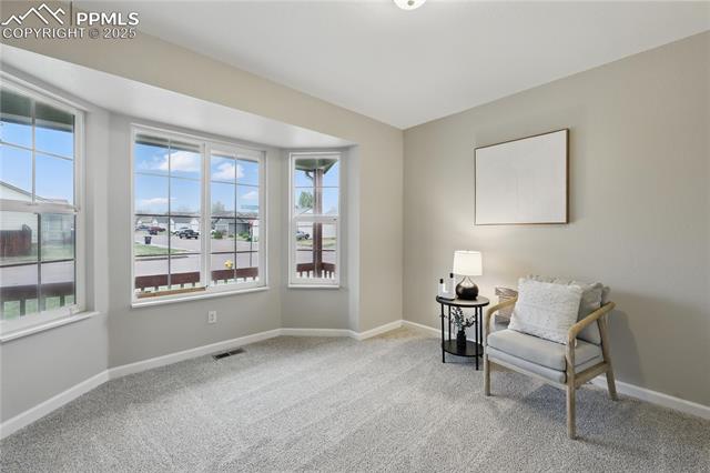 MLS Image for 908  Red Brooke  ,Colorado Springs, Colorado