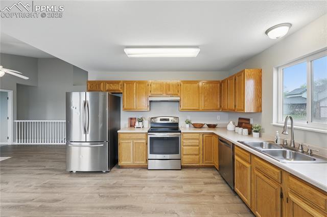 MLS Image for 908  Red Brooke  ,Colorado Springs, Colorado