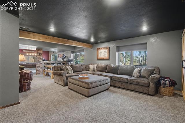 MLS Image for 1375  Blueberry Hills  ,Monument, Colorado