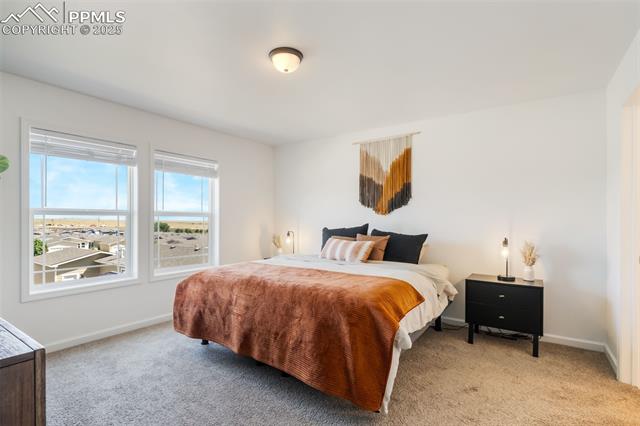 MLS Image for 4163  Gray Fox  ,Colorado Springs, Colorado