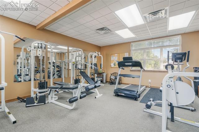 MLS Image for 4163  Gray Fox  ,Colorado Springs, Colorado