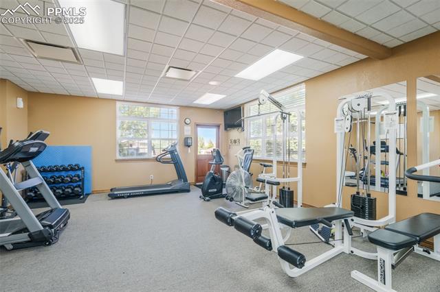MLS Image for 4163  Gray Fox  ,Colorado Springs, Colorado