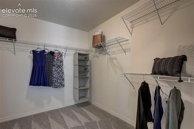 MLS Image for 7811  Moore  ,Colorado Springs, Colorado